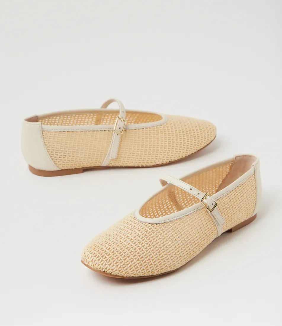 MOLLINI | HAVENS