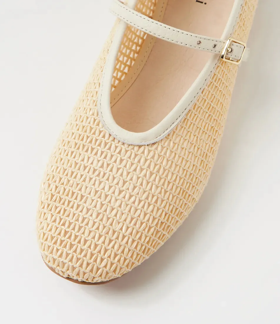 MOLLINI | HAVENS