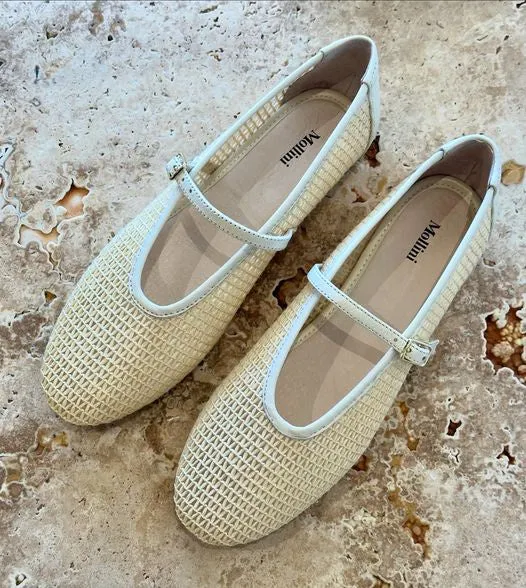 MOLLINI | HAVENS