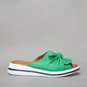 Salsa - Pine